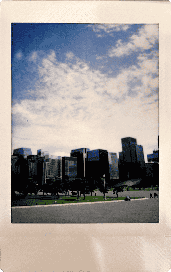 皇居外苑から望むビル群