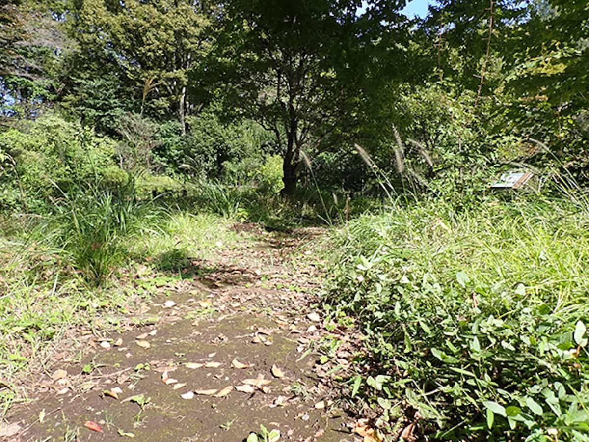 武蔵野ゾーン・路傍