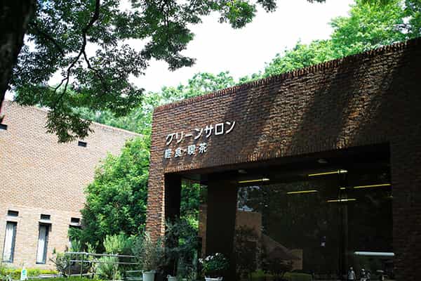 グリーンサロン