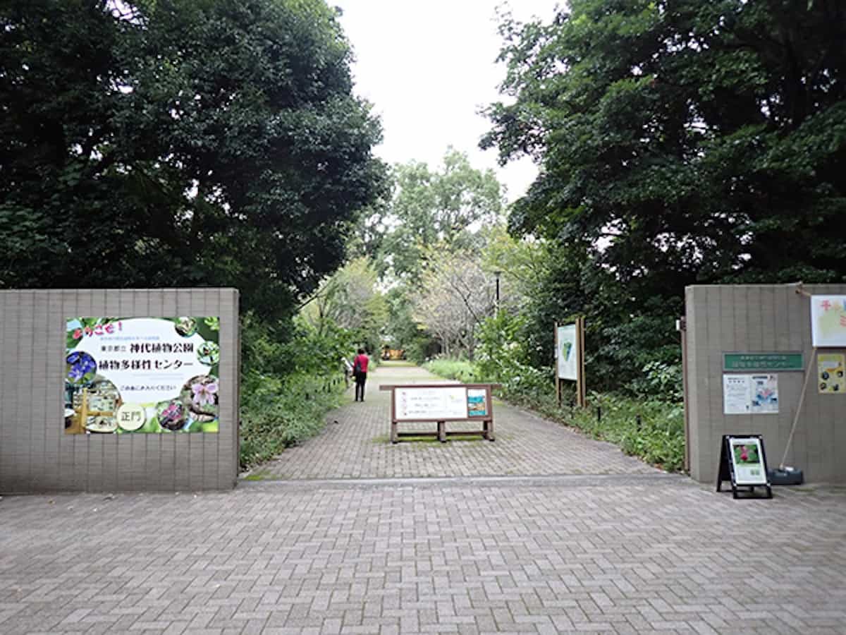 正門（植物多様性センター）