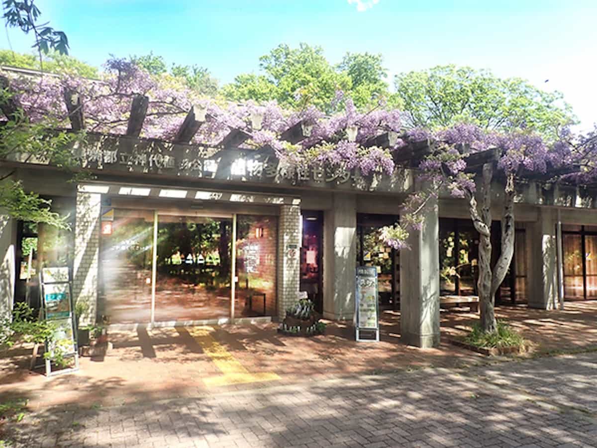 情報館（植物多様性センター）