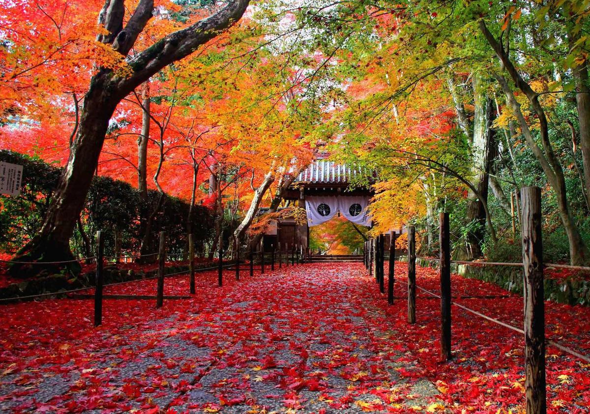 光明寺