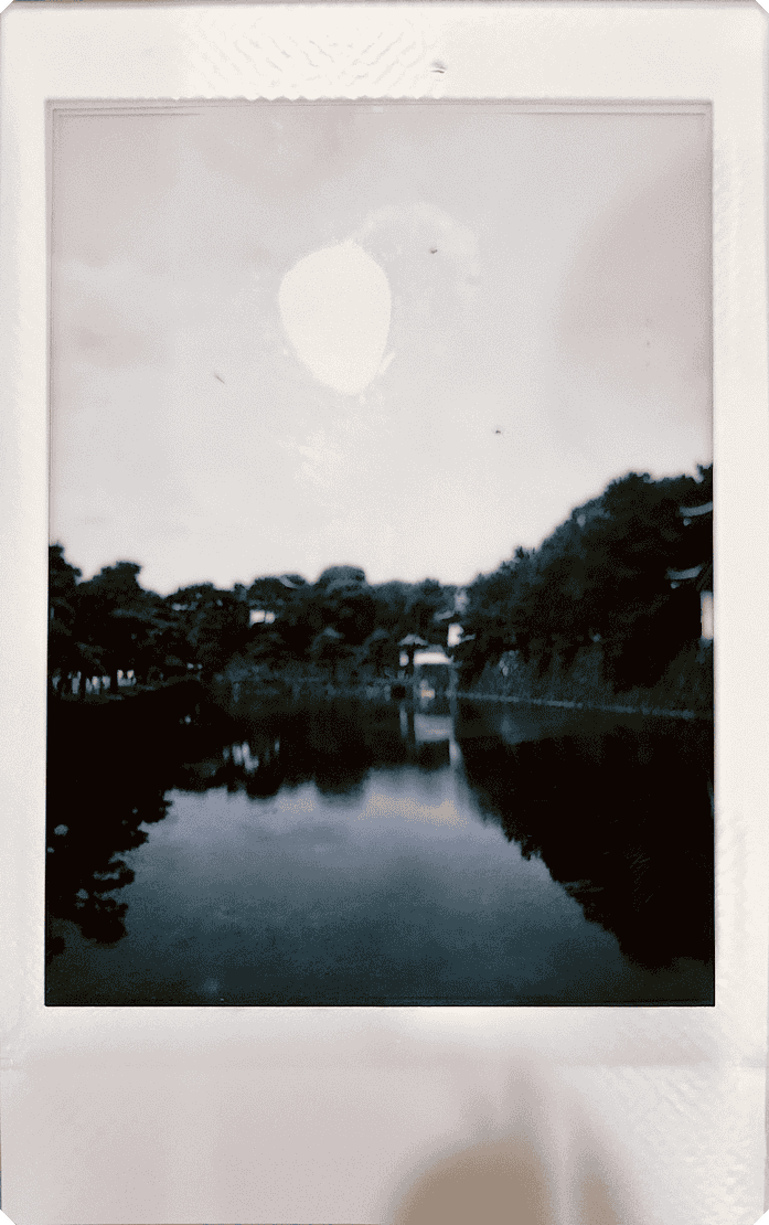 皇居外苑の自然