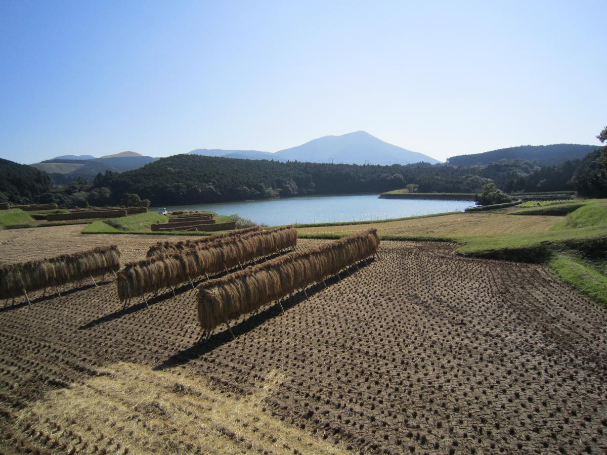 四ツ池