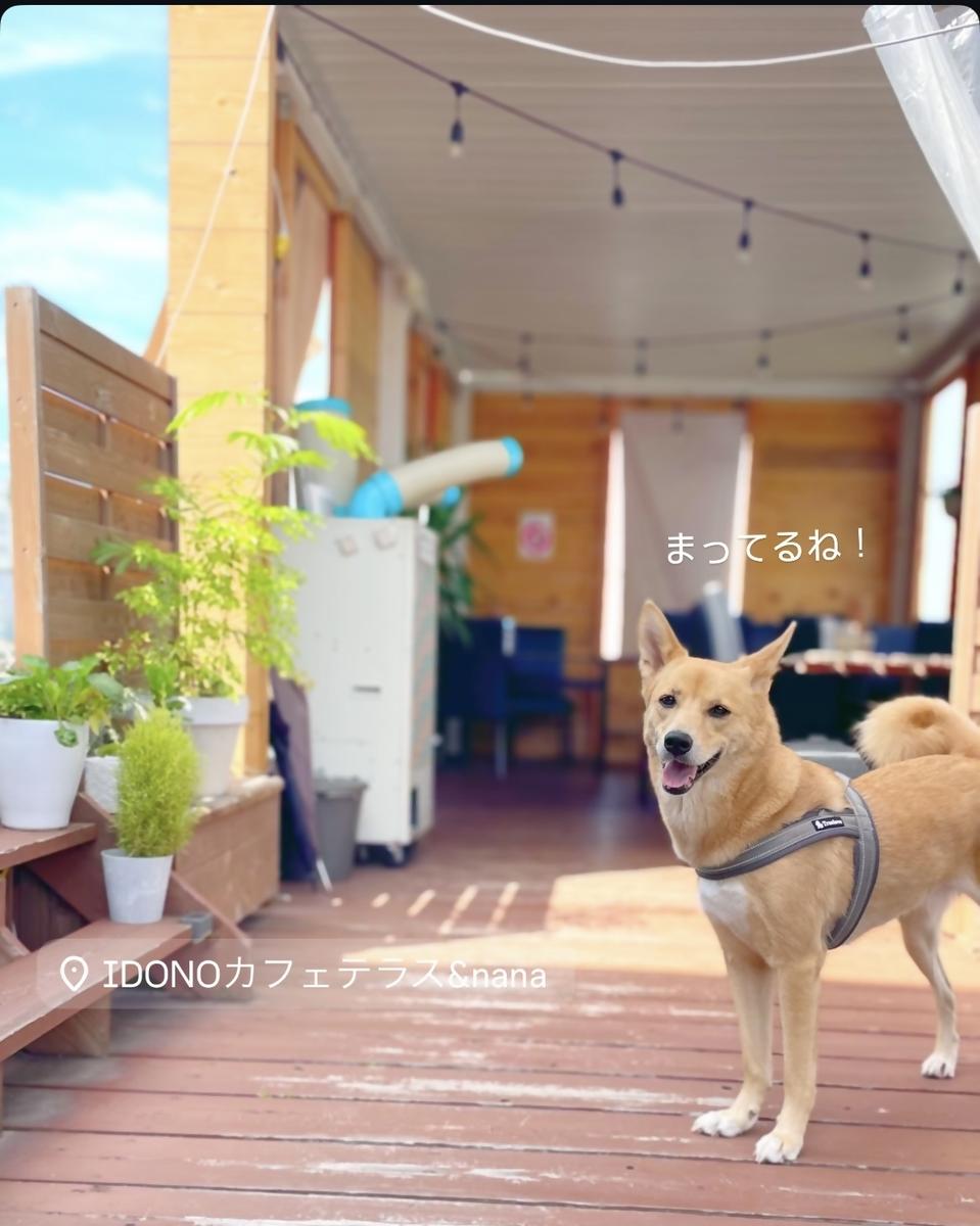 IDONOカフェテラス&nana