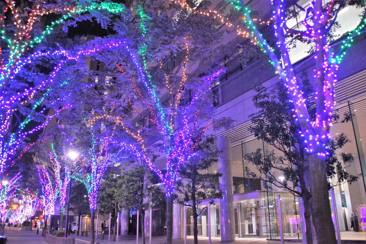 プラザ通りイルミネーション2025