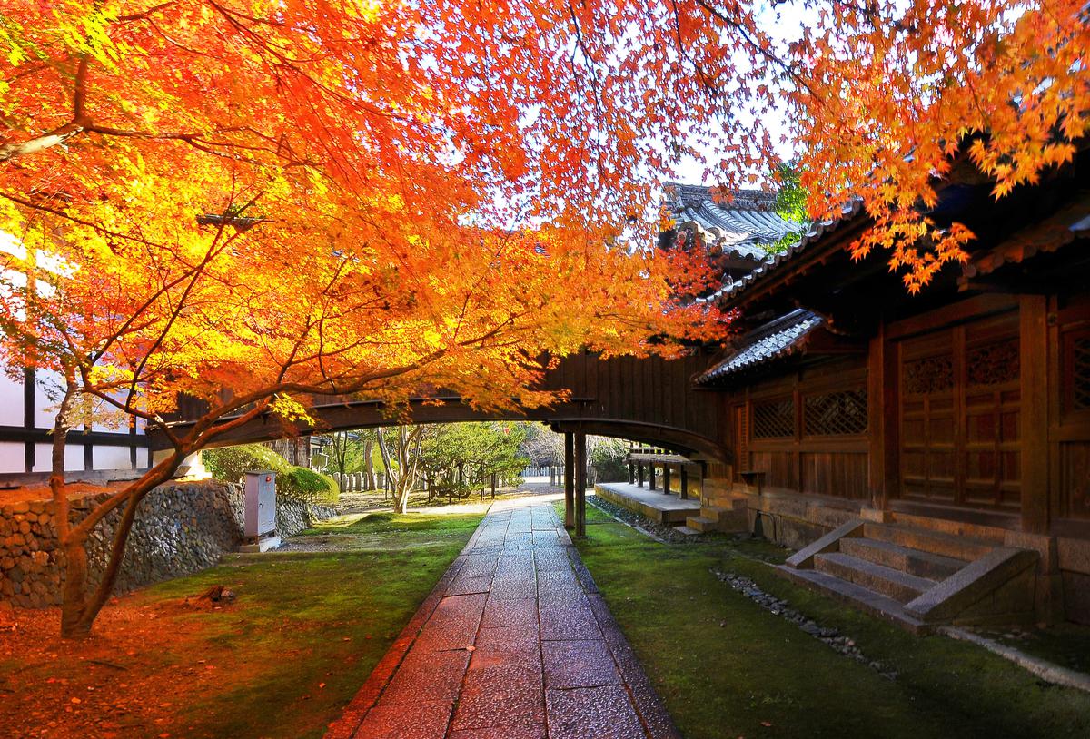 Muko Shrine's image 1