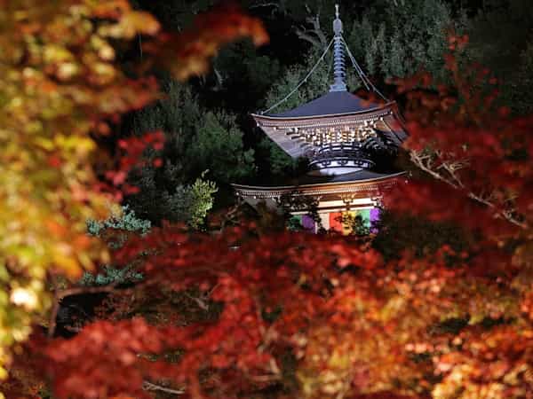 Eikando Zenrinji Temple's image 1