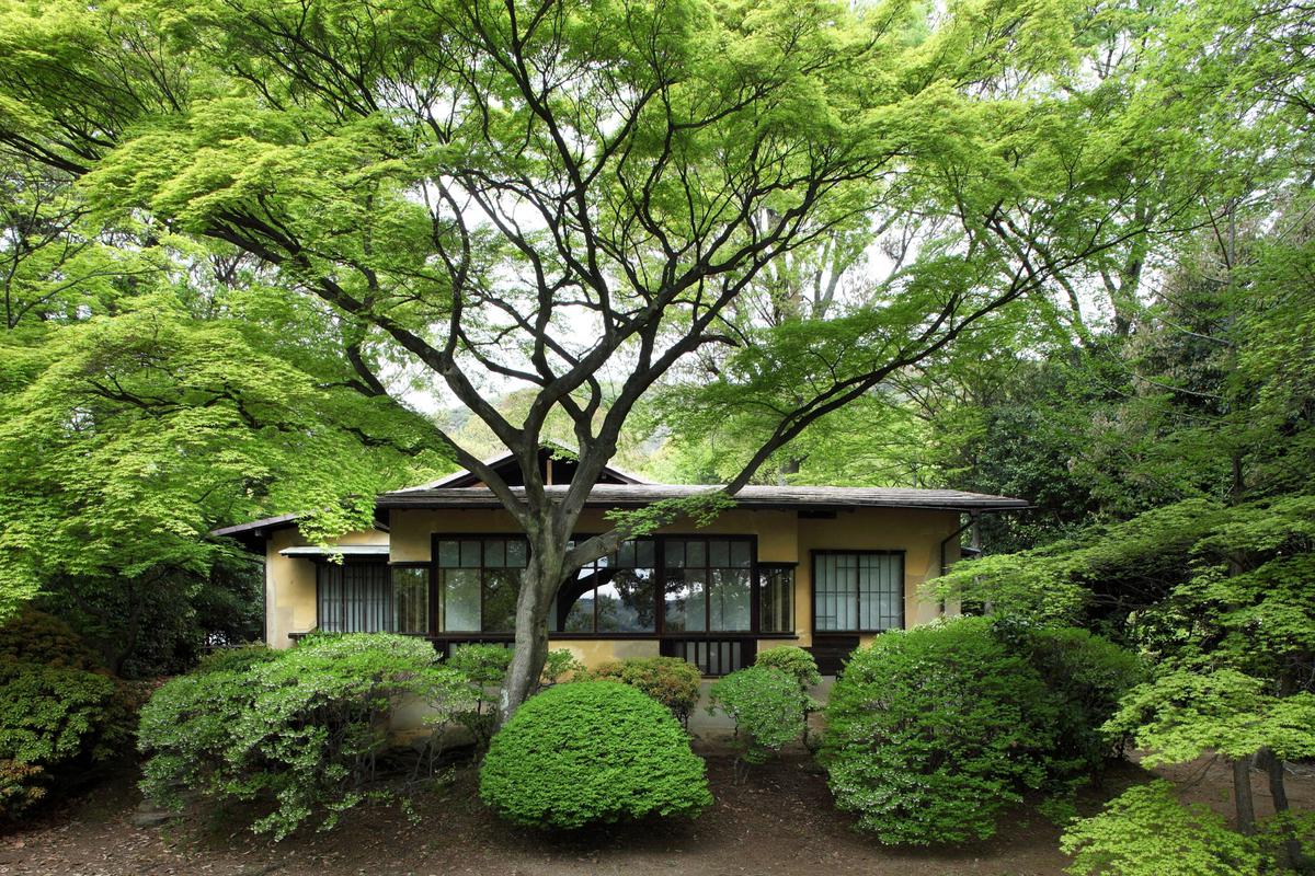 Chikurin no Komichi (Bamboo Grove Pathway)'s image 1
