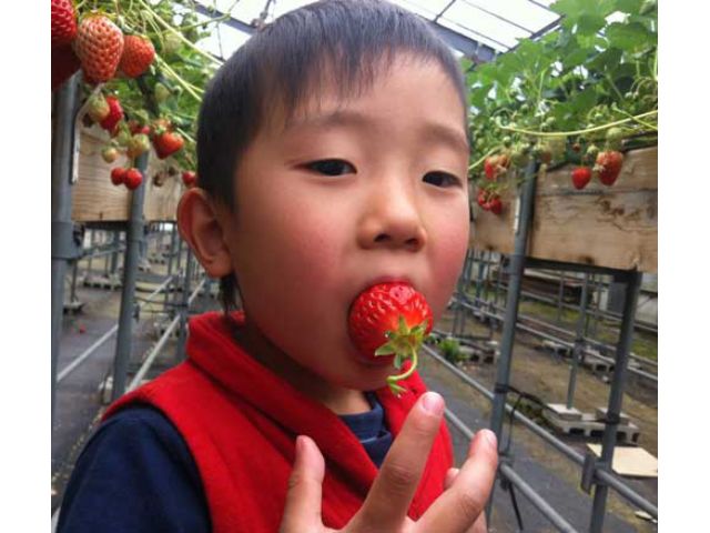 マイベリーファーム