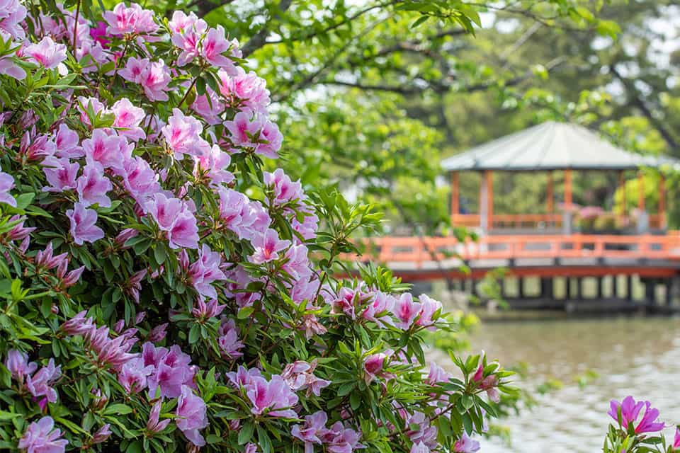 九華公園（桑名城跡）