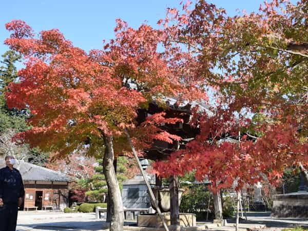 Komyoji Temple's image 1