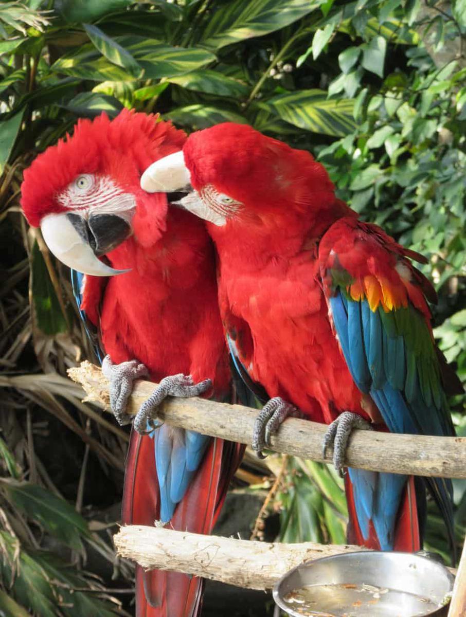 長崎鼻パーキングガーデン
