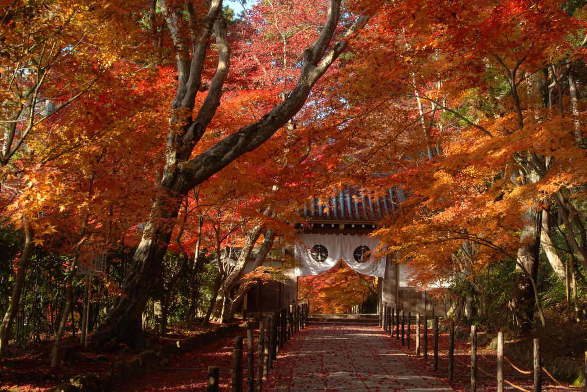 Komyo-ji Temple's image 1