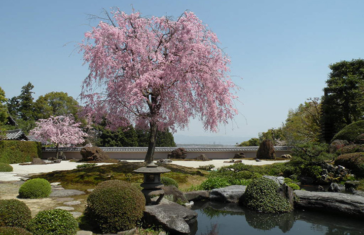 Shoho-ji Temple's image 1