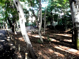 成田西いこい緑地