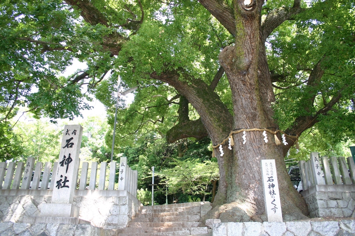 Site of Chishikiji Temple (Prefectural Historic Site) & Iwa Shrine's image 1