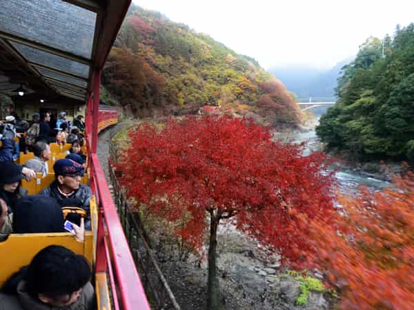 Hozu Keikoku Gorge's image 1