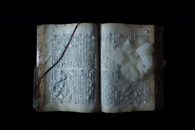 SPIRAL GARDEN（ONE FUKUOKA BLDG. 3F）