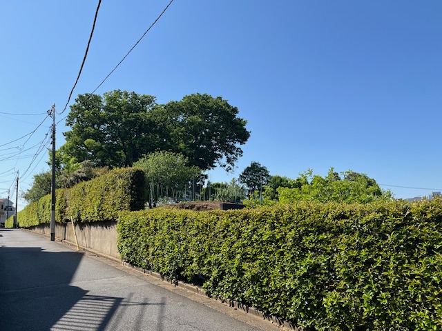 後世に残したい屋敷林