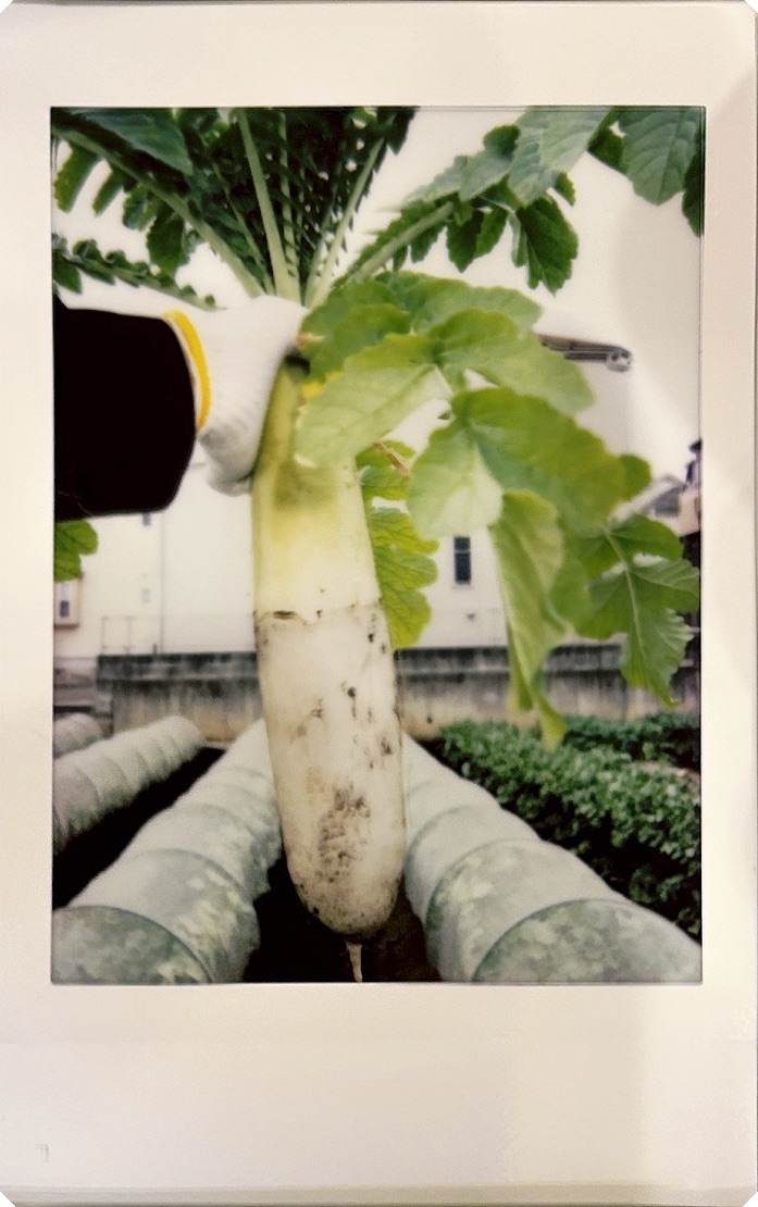 あきしまの農業