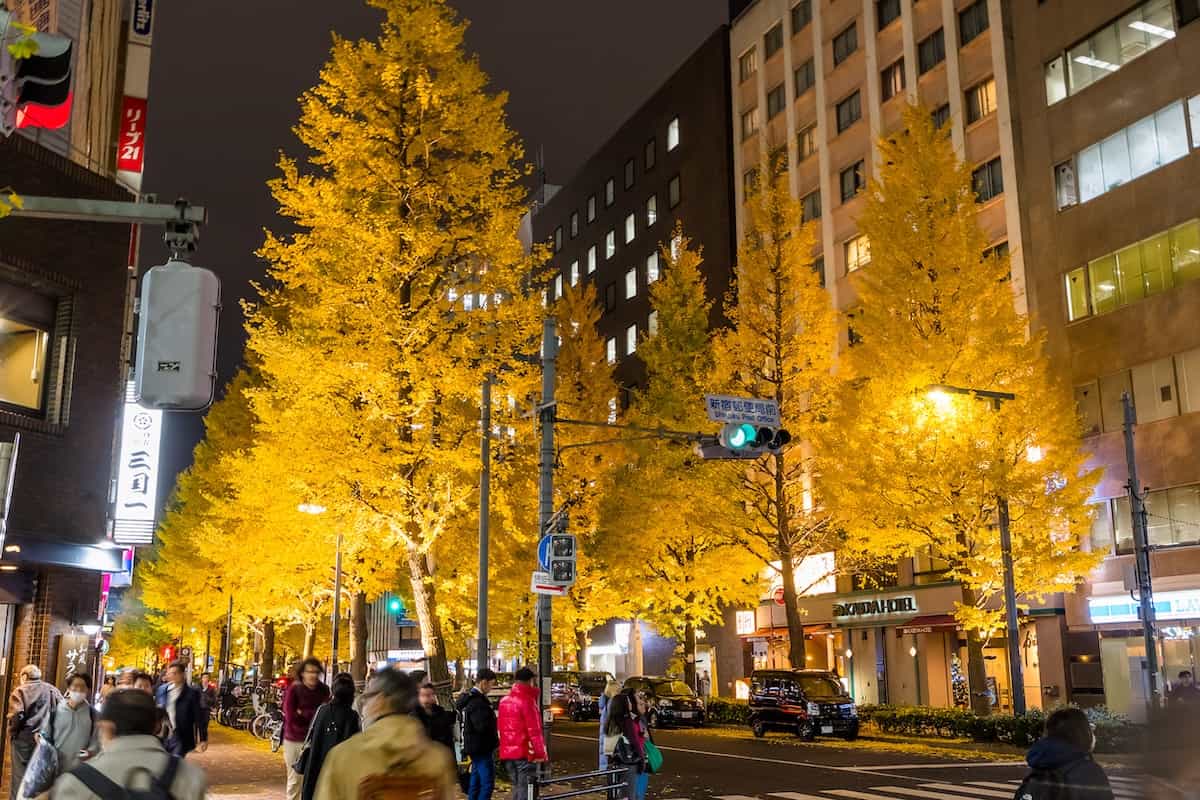 西新宿一丁目イチョウ並木ライトアップ2025