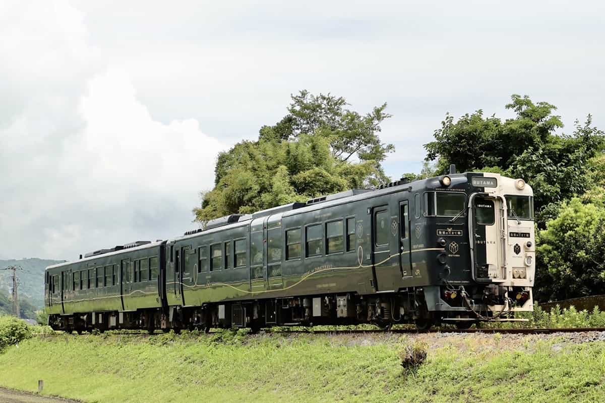 특급 "이부스키의 다마테바코"