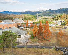 滋賀県立陶芸の森