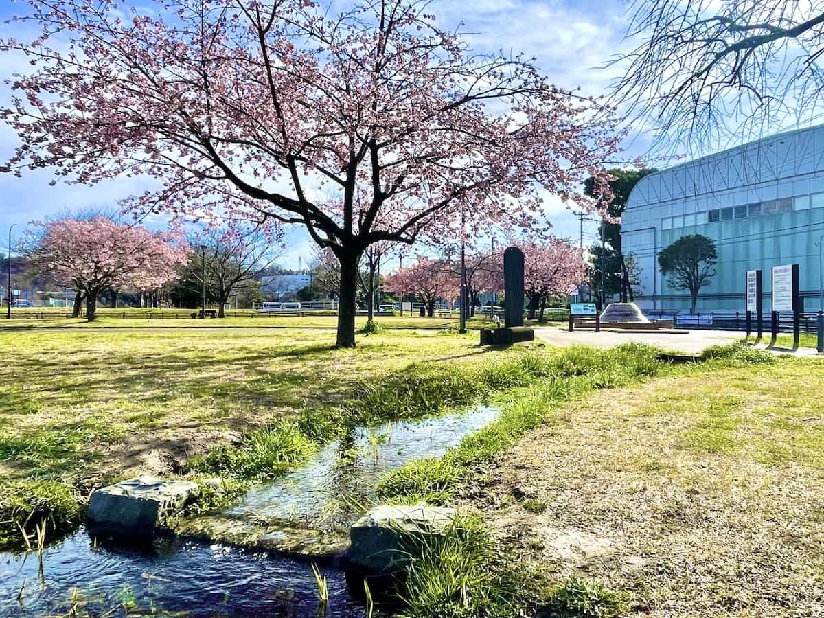 郷土の森公園