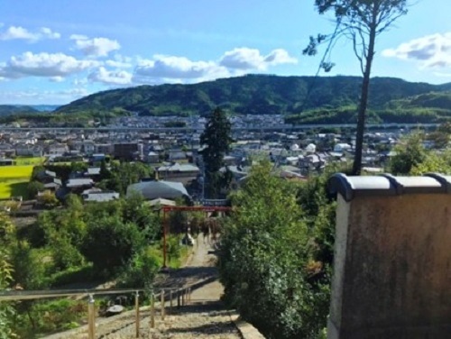 Hashita Shrine's image 1