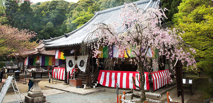 Hoshaku-ji Temple's image 1
