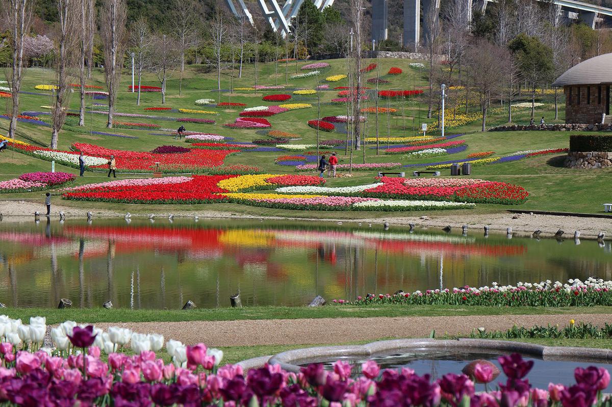 淡路島国営明石海峡公園