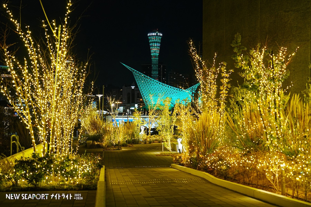 NEW SEAPORT ナイトライト 2025-2026