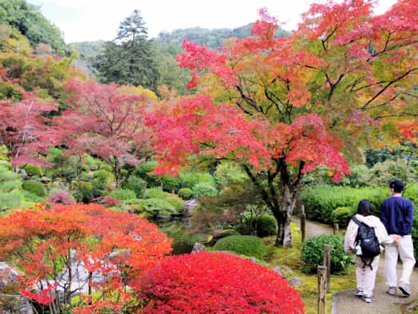 Mimuroto-ji Temple's image 1