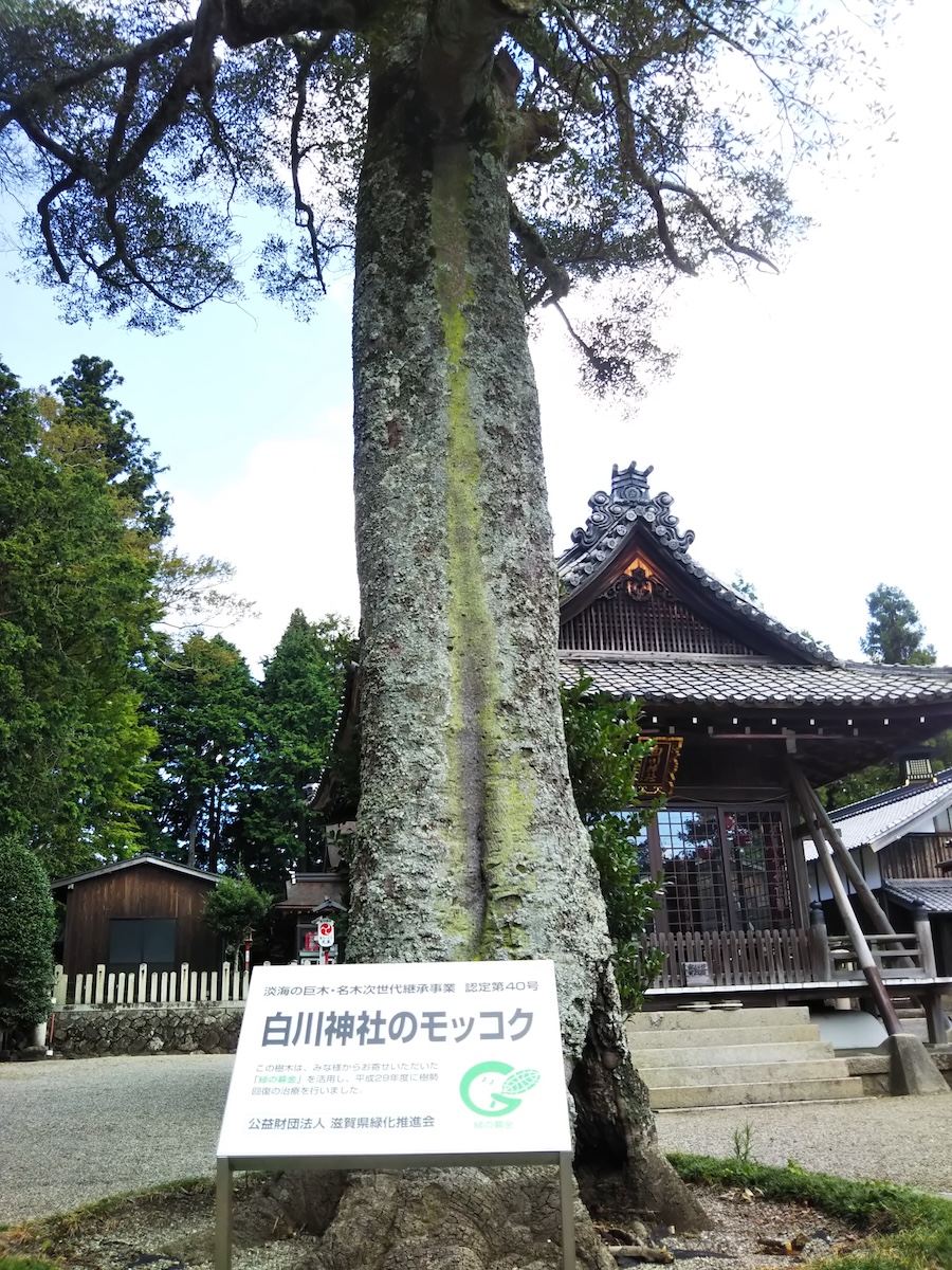 白川神社
