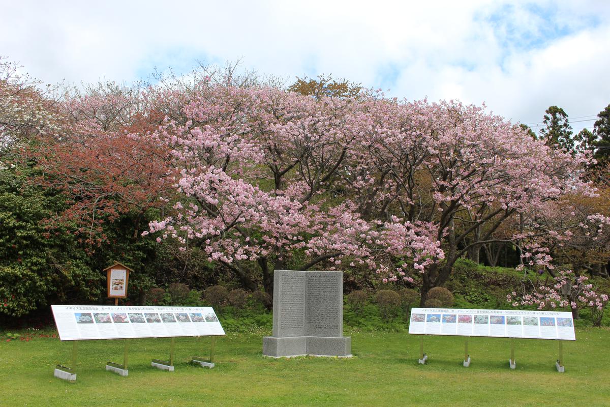 日英讃櫻文化友好親善記念碑
