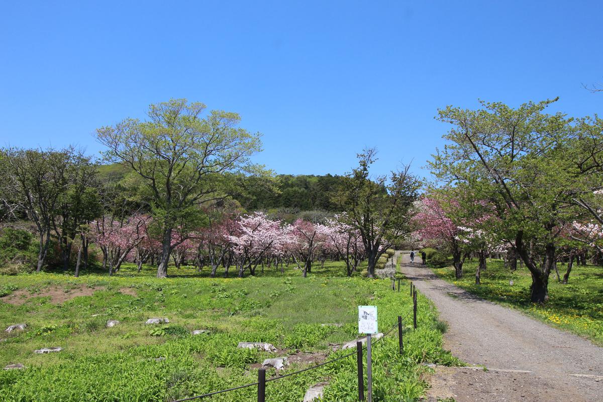 第二公園