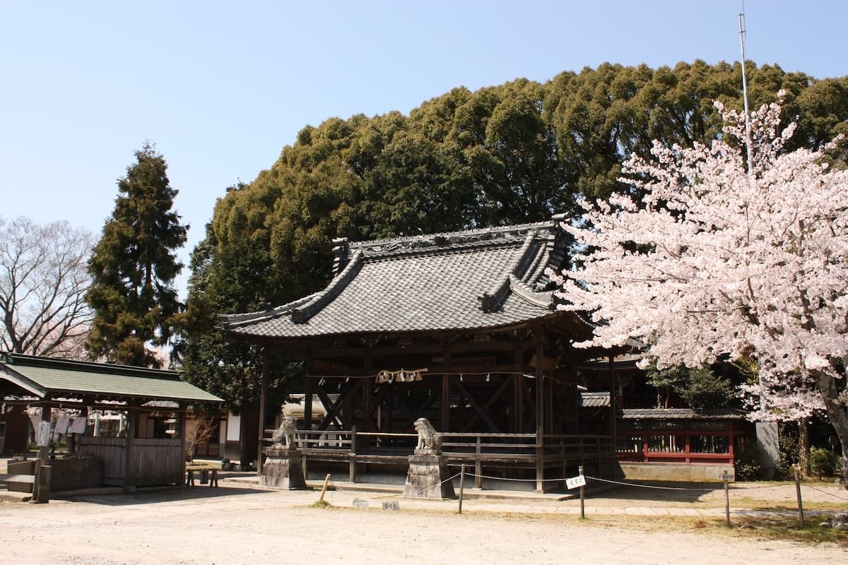 Iga Ueno Ninja Shrine (Atago Ninja Shrine)'s image 1