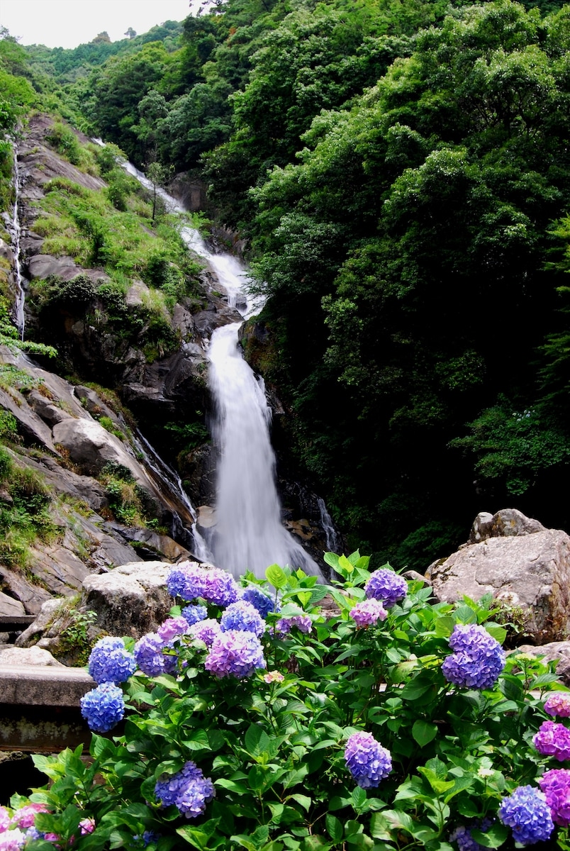 見帰りの滝（唐津市）