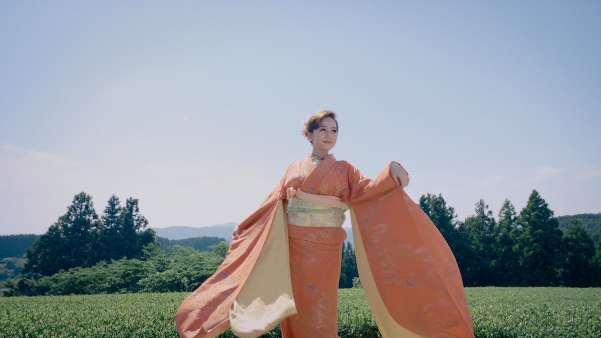 嬉野市の茶畑（茶癒人ななとも）