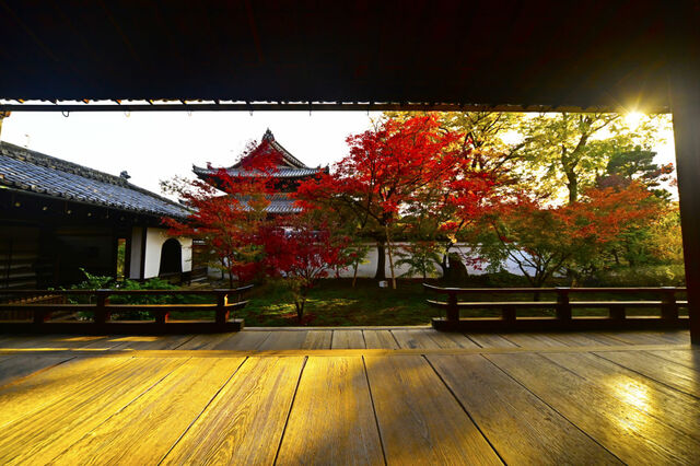 西陣 興聖寺(織部寺、京都市上京区)秋の特別公開