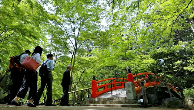 「史跡御土居の青もみじ公開」北野天満宮