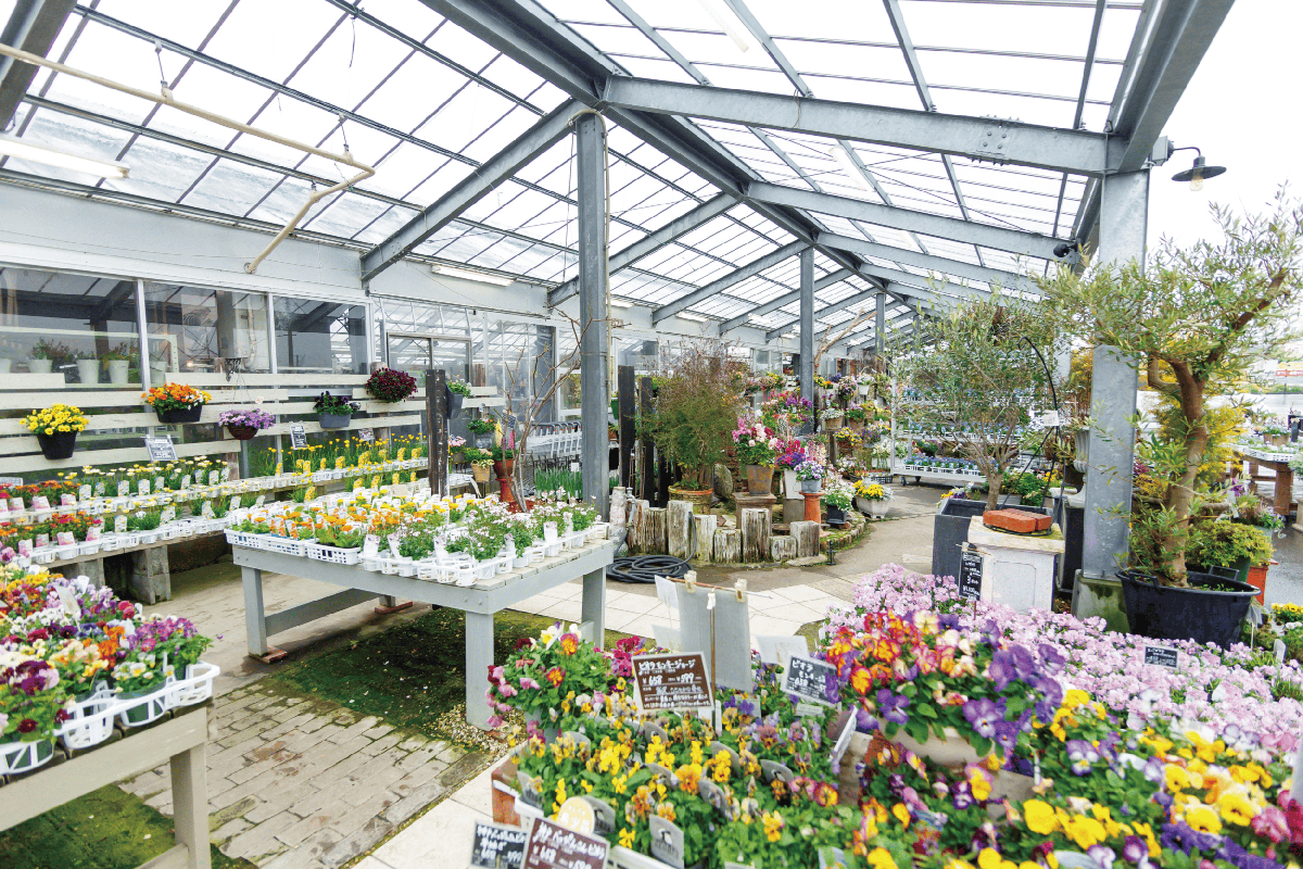 エコマルシェオニヅカ