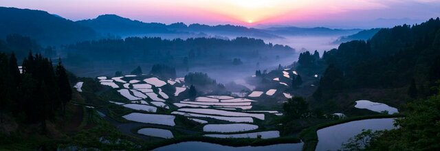 写真展　今森光彦　にっぽんの里山を旅する