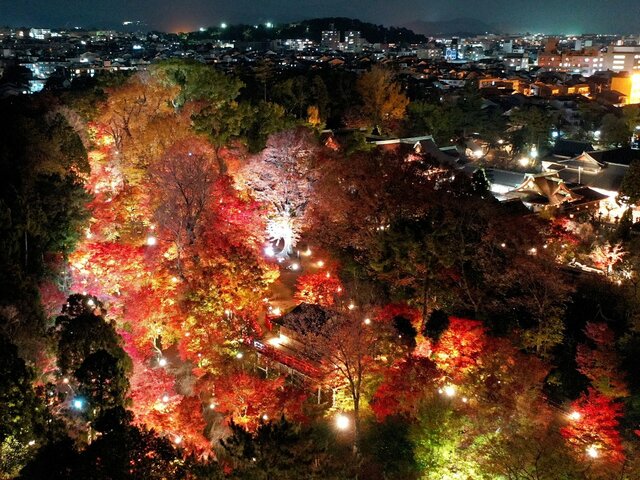「もみじ苑ライトアップ」北野天満宮