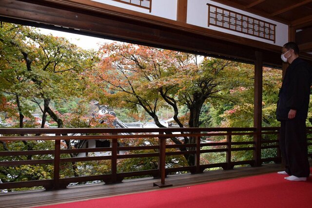 「柳谷観音 もみじウイーク」柳谷観音 楊谷寺