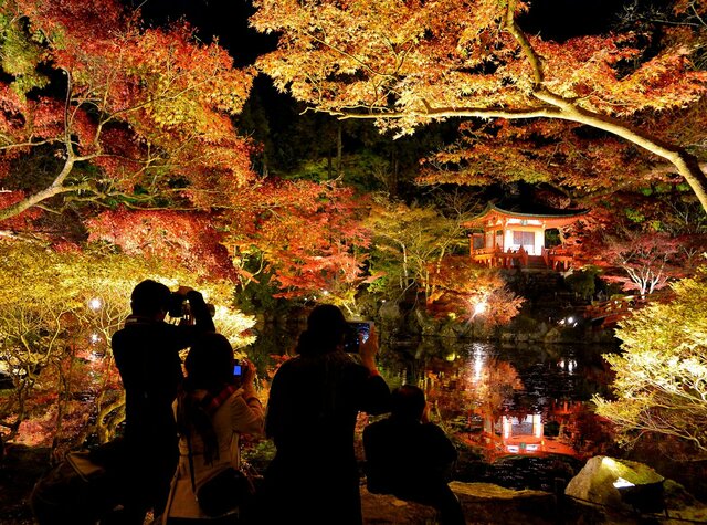 「秋期夜間拝観」醍醐寺