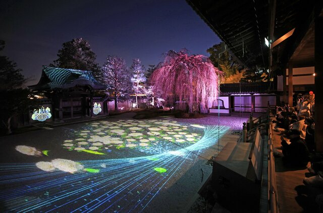 「春の夜間特別拝観」高台寺