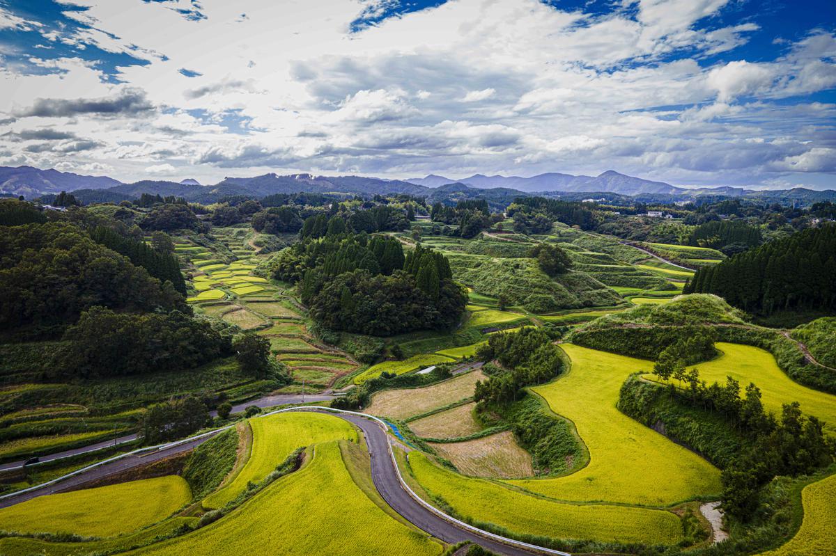 ドライブマップ布田神社