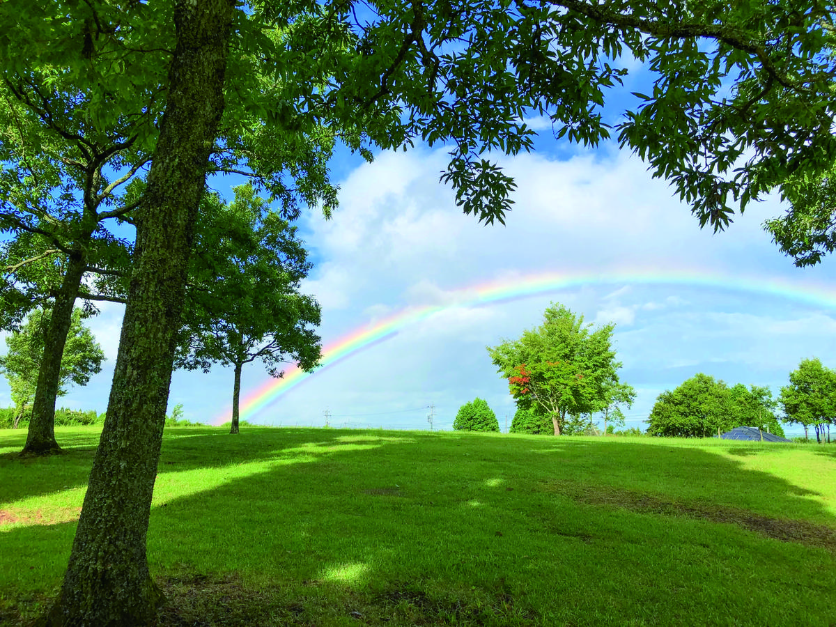 リベラルカマブタ オートキャンプ場